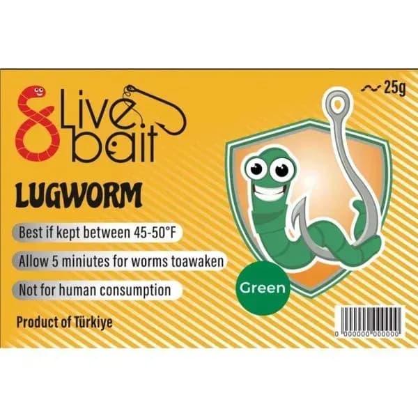 Lugworm Nedir? Çin Kurdu, Türk Kurdu ve Deniz Solucanı Arasındaki İlişki