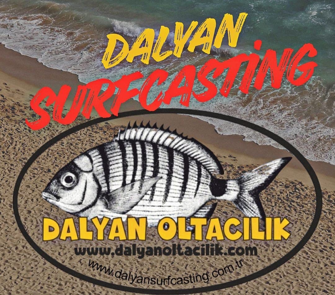 Bibi Yem Siparişi ve Satın Alma Rehberi